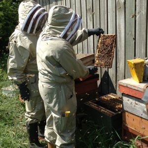 bee keeping course
